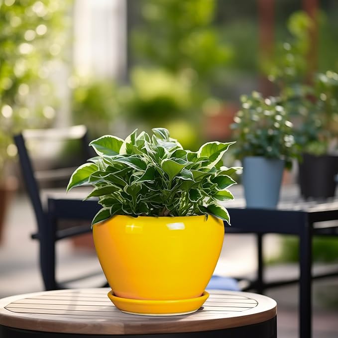 Ceramicfor Ceramic Pot for Plants - Image 4