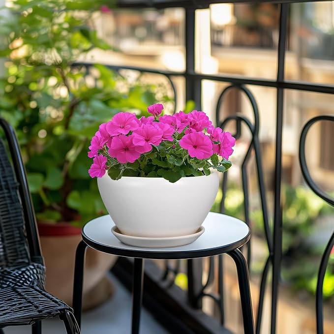 Ceramicfor Ceramic Planter - Image 2