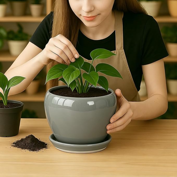 Deep Dream 8 Inch Plant Pots- Ceramic Pots - Image 5