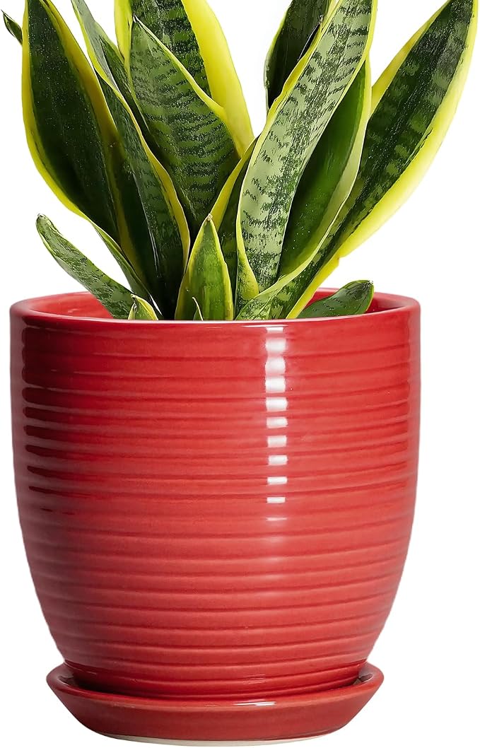 6 Inch Ceramic Plant Pot by EPFamily