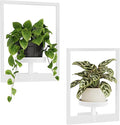 Bamworld Wall Plant Holder Plant Stand Indoor Wall Planters White | Wall by Bamworld