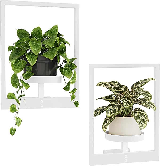 Bamworld Wall Plant Holder Plant Stand Indoor Wall Planters White | Wall by Bamworld