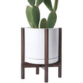 D'vine Dev Ceramic Pot with Walnut Wood Stand, 12 in, 55-B-W-1 | Mid-Century by DvineDevPlanterPotsandStand