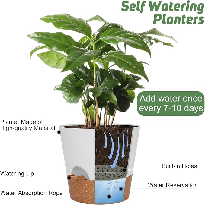 YNNICO 10 inch Plant Pots, Self-Watering Planters - Image 5
