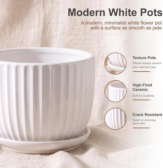 White Plant Pots, Ceramic Flower Pot Set of 3 - Image 3