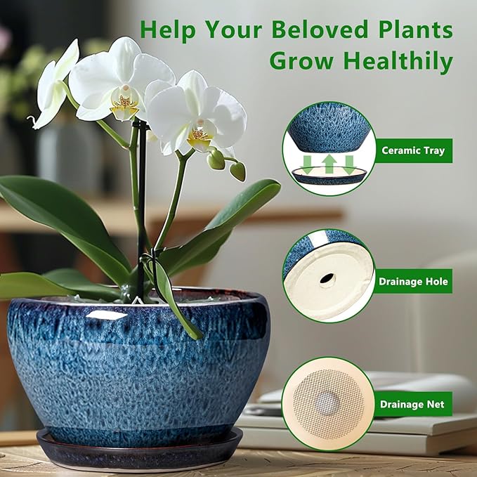 Ceramicfor Ceramic Planter 11 Inch - Image 5