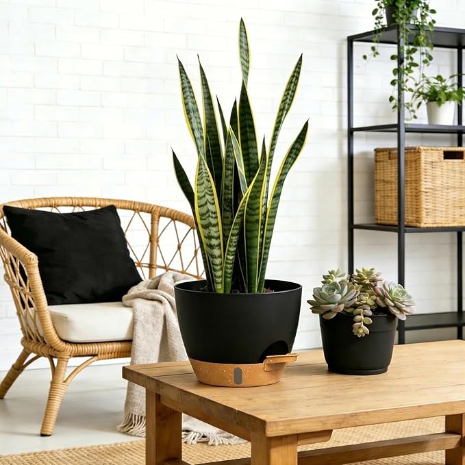 Self Watering Pots with Drainage Holes, 3 Pack 12/10/8 Inch Plant Pots with - Image 6