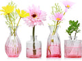 Glass Bud Vases Set of 4, Small Pink Flower Vases by Mapoxy
