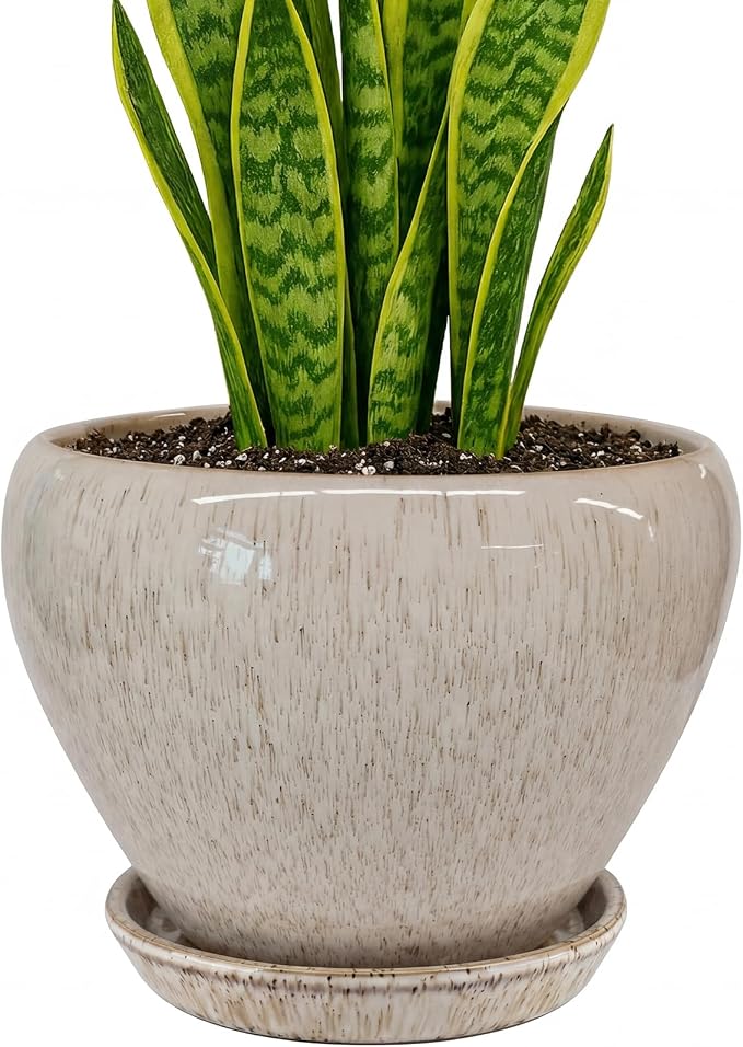 Deep Dream 8 Inch Plant Pots- Ceramic Pots by DeepDream