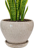 Deep Dream 8 Inch Plant Pots- Ceramic Pots by DeepDream