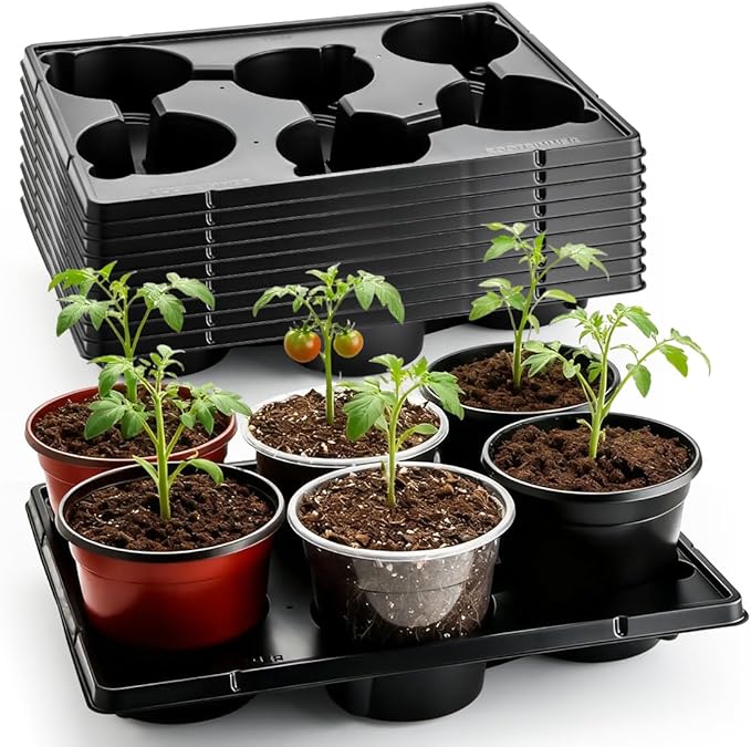 RooTrimmer 6 Cell Round Nursery Pot Trays by RooTrimmer