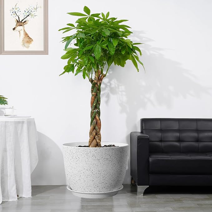 UOUZ 12inch Large Plant Pot, Modern Plastic Planter - Image 6