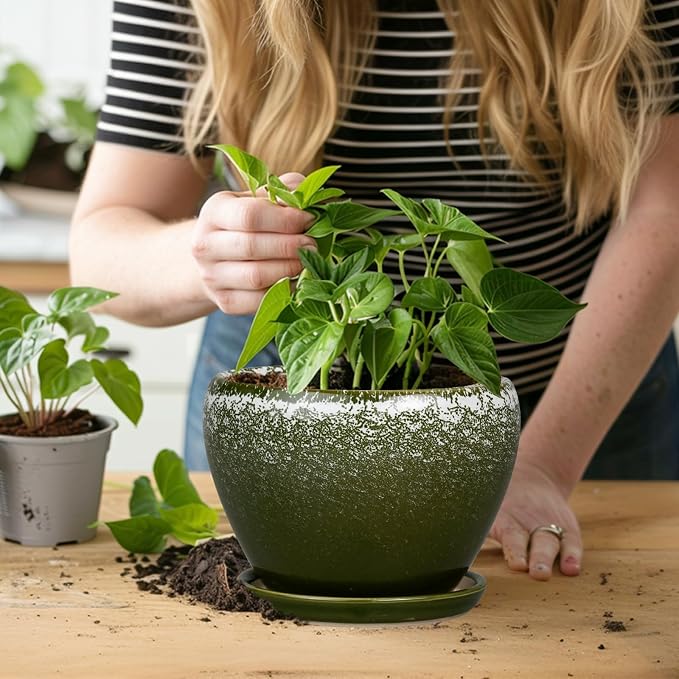 Ceramicfor 6 Inch Plant Pot - Image 7