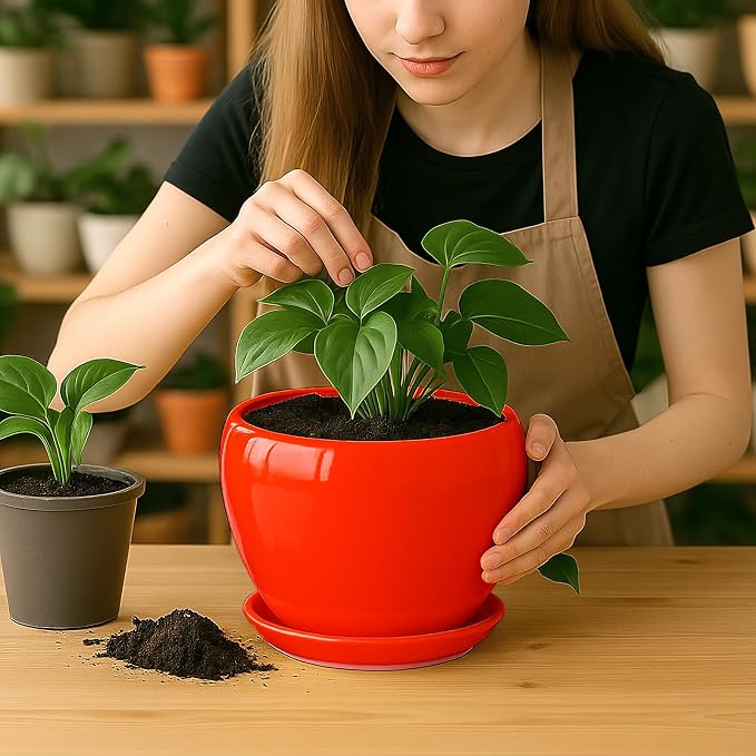 Deep Dream 8 Inch Plant Pots- Ceramic Pots - Image 6