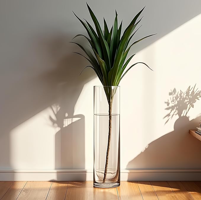 CYS EXCEL Cylinder Clear Glass Vase | Multiple Size Choices Glass Flower Vase - Image 6