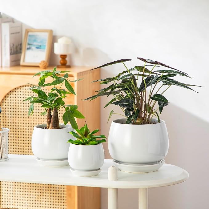 vancasso 3-Pack Ceramic Plant Pots, 3.7/4.8/6.2 Inch Indoor Planters - Image 6