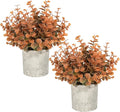 Velener Small Fake Eucalyptus Plant Artificial Potted Plants Indoor by Velener