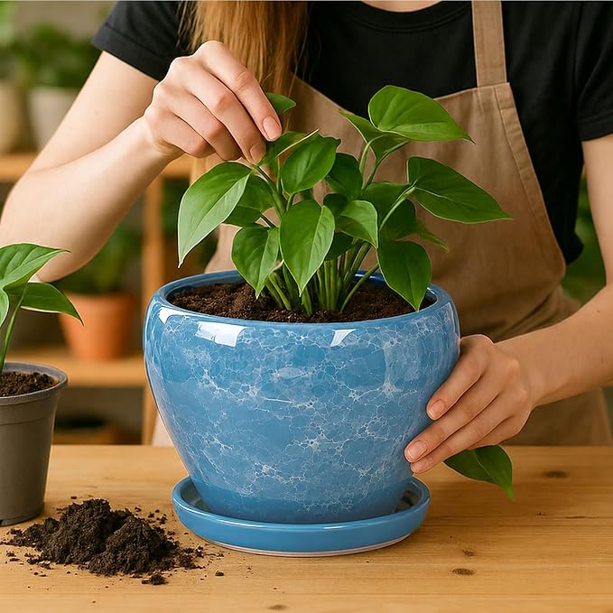 Deep Dream 8 Inch Plant Pots- Ceramic Pots - Image 5