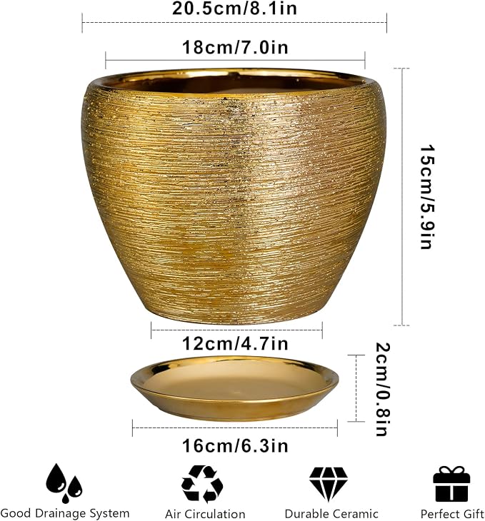 Ceramicfor Ceramic Plant Pot 8 Inch - Image 3