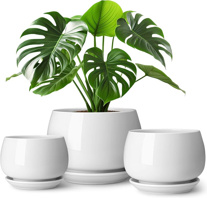 vancasso 3-Pack Ceramic Plant Pots, 3.7/4.8/6.2 Inch Indoor Planters by vancasso