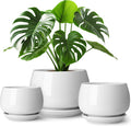 vancasso 3-Pack Ceramic Plant Pots, 7.3/9.6/11.6 Inch Indoor Planters by vancasso
