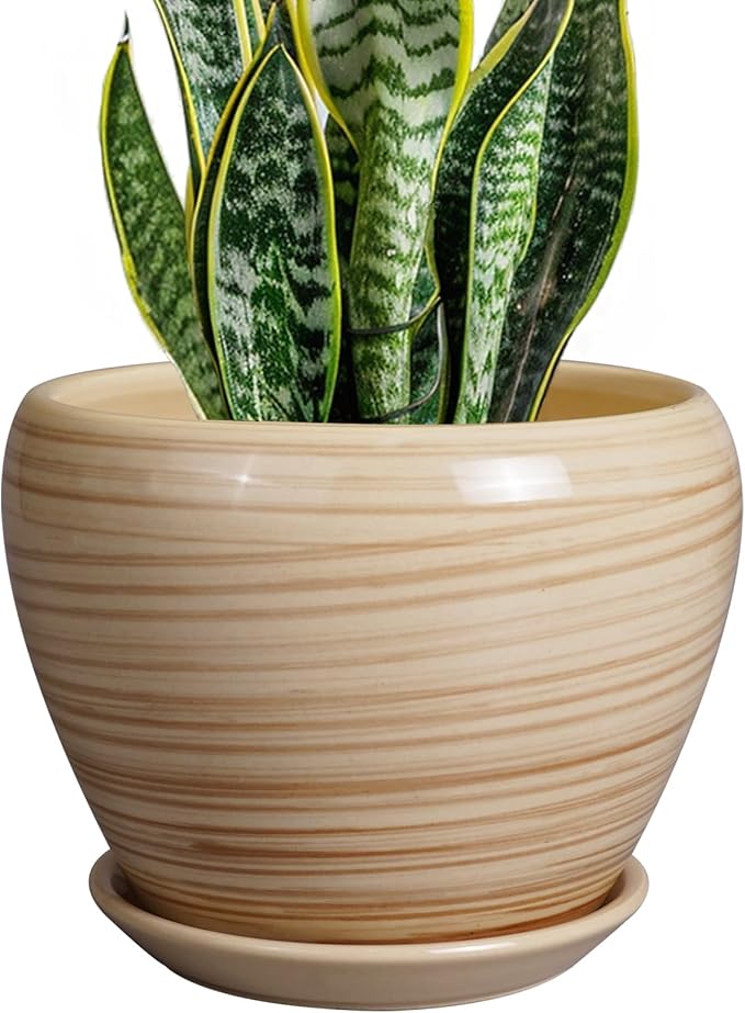 Ceramicfor Planter Pot 8 Inch, Ceramic Pot by Ceramicfor