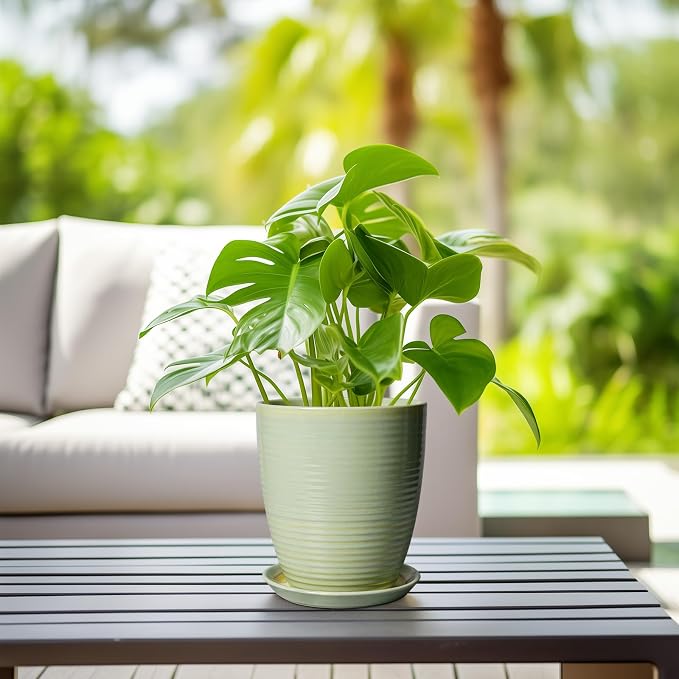 Ceramic Pots for Plants - Image 6