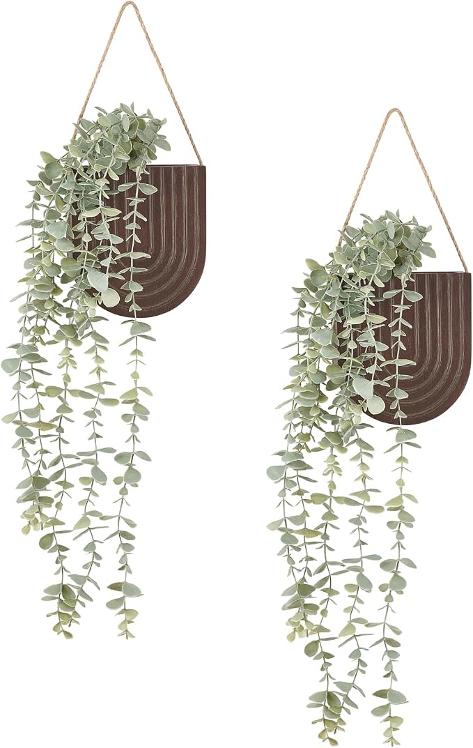 Dahey 2 Pack Wall Planter Vase by Dahey