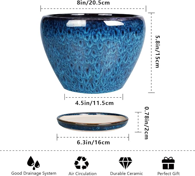 Ceramicfor 8 Inch Ceramic Plant Pot, Ceramic Planter Pot - Image 4