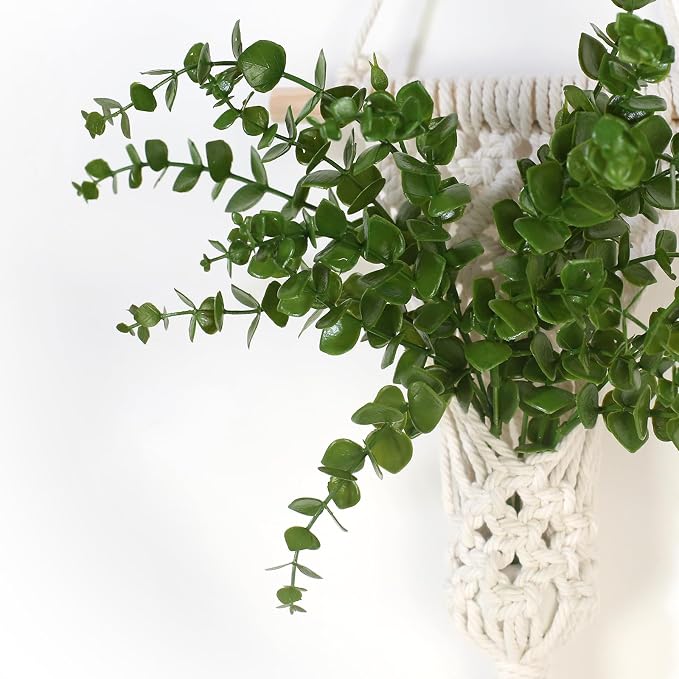 Macrame Wall Hanging Plants - Image 3