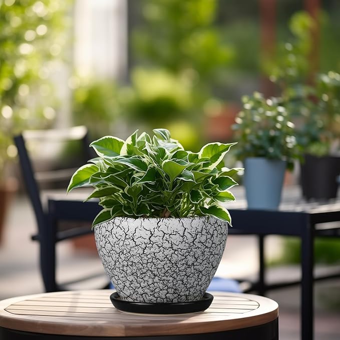 Ceramicfor Ceramic Planter Pot - Image 4
