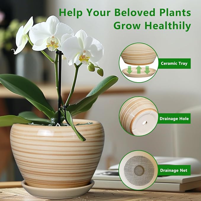 Ceramicfor Ceramic Pot for Plant 10 Inch - Image 5