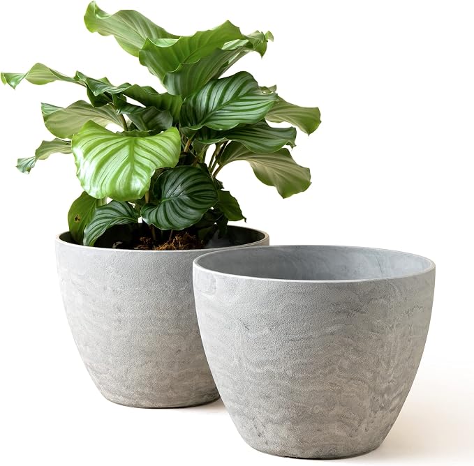 LA JOLIE MUSE Planter Pots, Flower Pots by LaJol%C3%ADeMuse