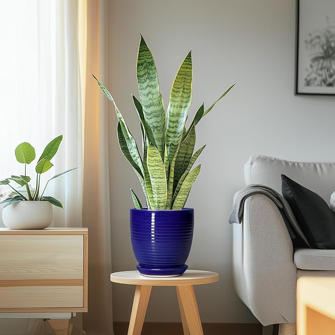 Ceramic Plant Pot - Image 6