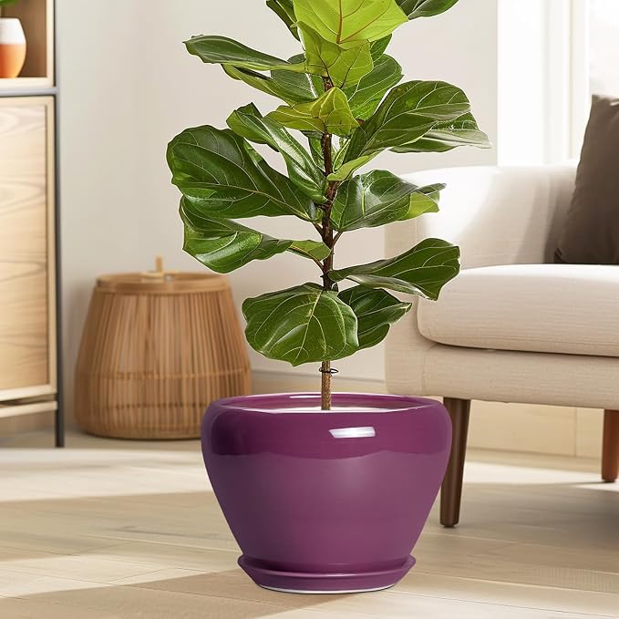 Ceramicfor 10 Inch Plant Pot - Image 2