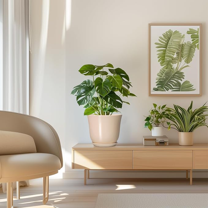 8 Inch Plant Pot, Ceramic Pots for Plants Indoor, Modern Decorative Planters - Image 7