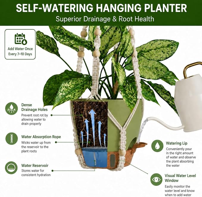 Bouqlife 3 Pack Hanging Planters - Image 3