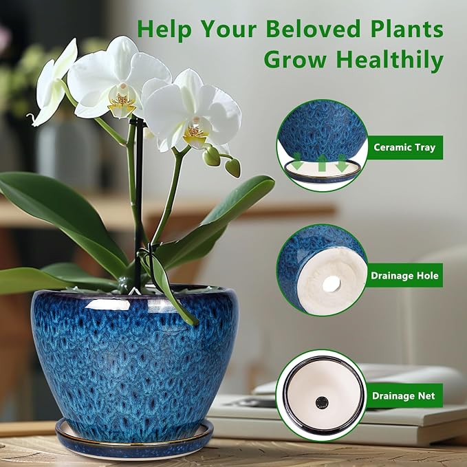 Ceramicfor 8 Inch Ceramic Plant Pot, Ceramic Planter Pot - Image 6
