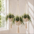 Shappy 3 Pack Boho Macrame Plant Hanger by Shappy
