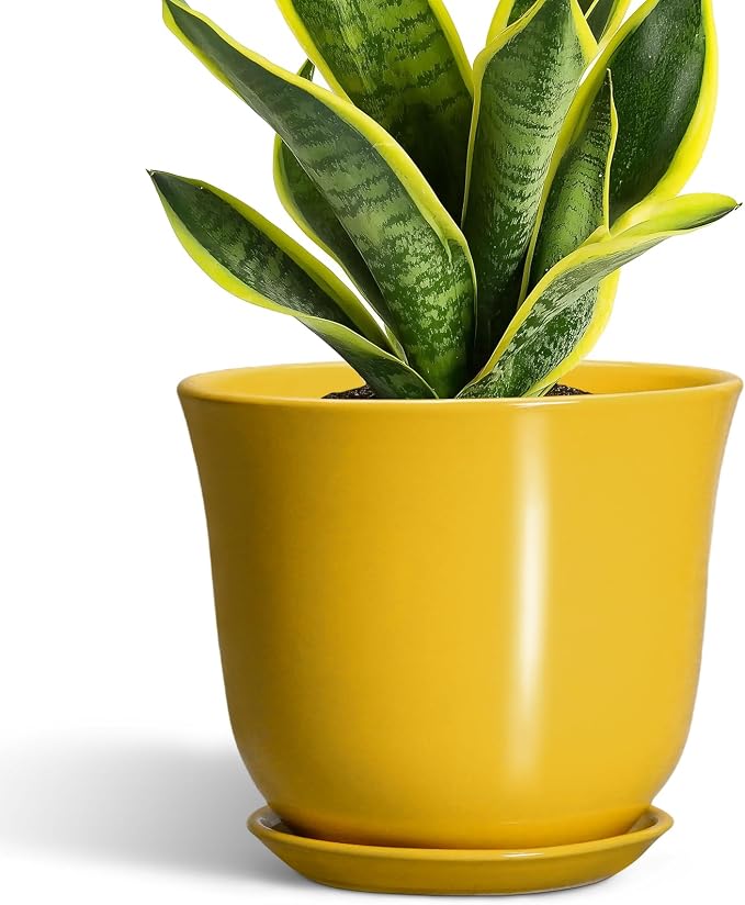 Ceramic Pots for Plants by SUNPOTFOR