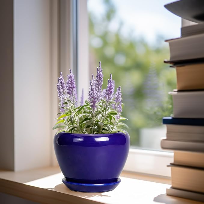 Ceramicfor 6 Inch Plant Pot - Image 2