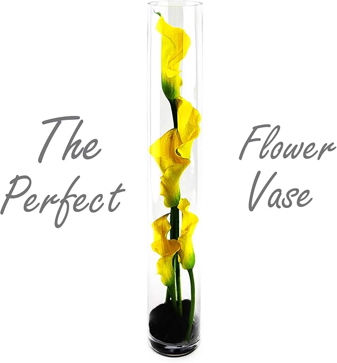 CYS Excel Clear Glass Cylinder Vase | Multiple Size Choices Glass Flower Vase - Image 5