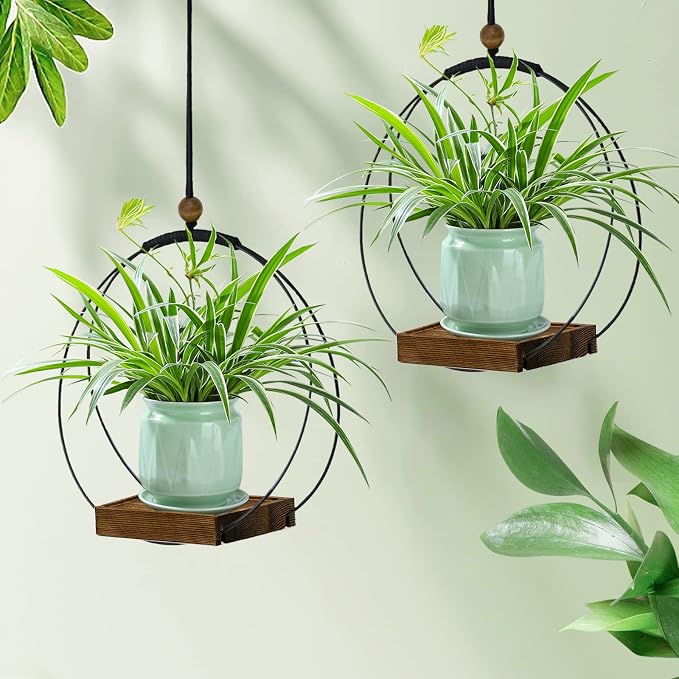 hismocal 2 Pack Hanging Planter - Image 6