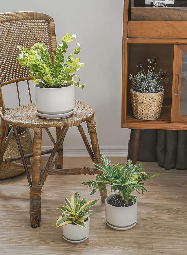 LE TAUCI Ceramic Pots for Plants, 4.3+5.3+6.8 Inch Plant Pots, Indoor Planters - Image 2