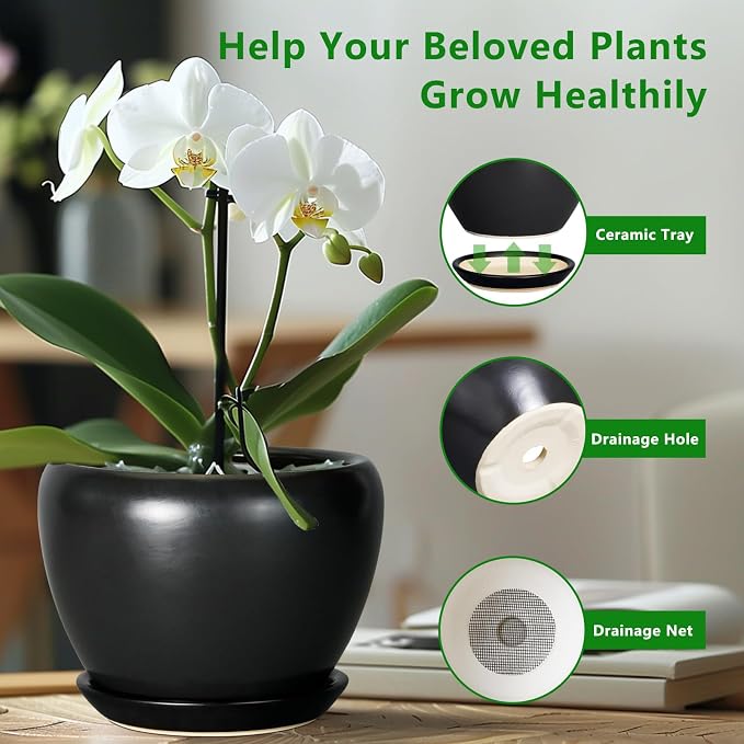 Ceramicfor Ceramic Planter Pot - Image 6