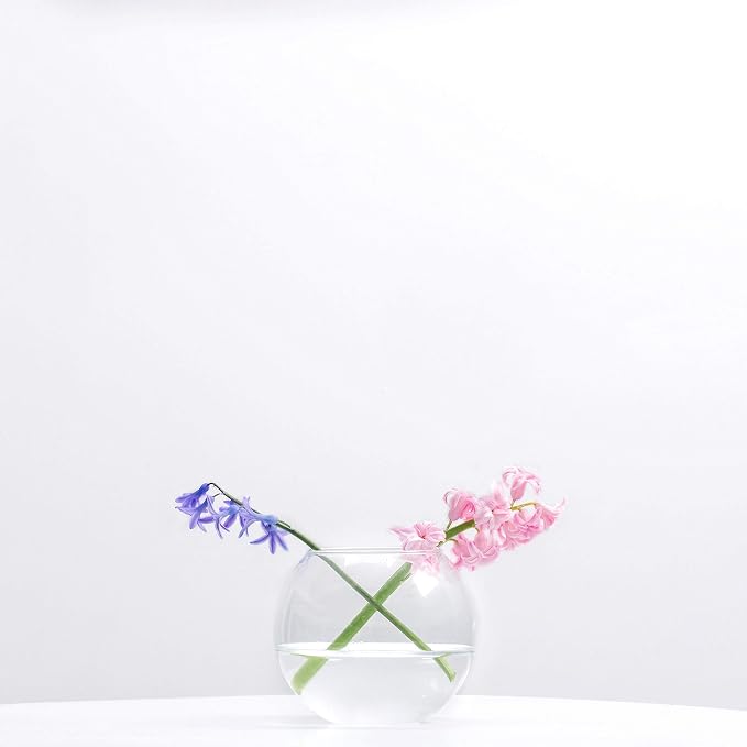 WGV Bowl Glass Vase Bulk, Diameter 6", Height 5", Open Width 4", 12 Pieces - Image 5