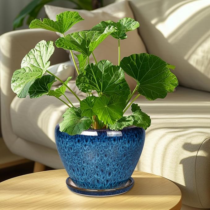 Ceramicfor 8 Inch Ceramic Plant Pot, Ceramic Planter Pot - Image 3