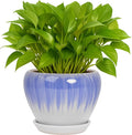Deep Dream 6 Inch Plant Pots- Ceramic Planter Pot by DeepDream
