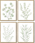 Drsoum Botanical Plant Framed Wall Art Boho Wall Decor by Drsoum