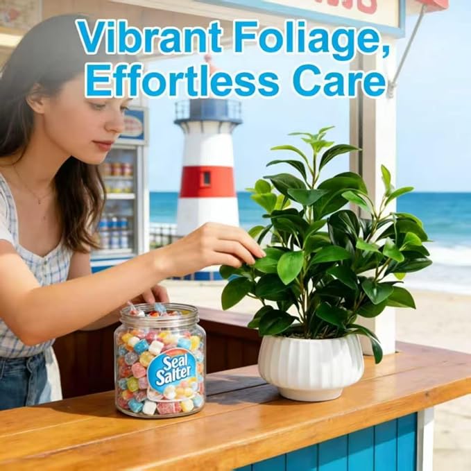 Artificial Peperomia Plants 16” Tall Lifelike Faux Greenery in 6” White Ribbed - Image 8